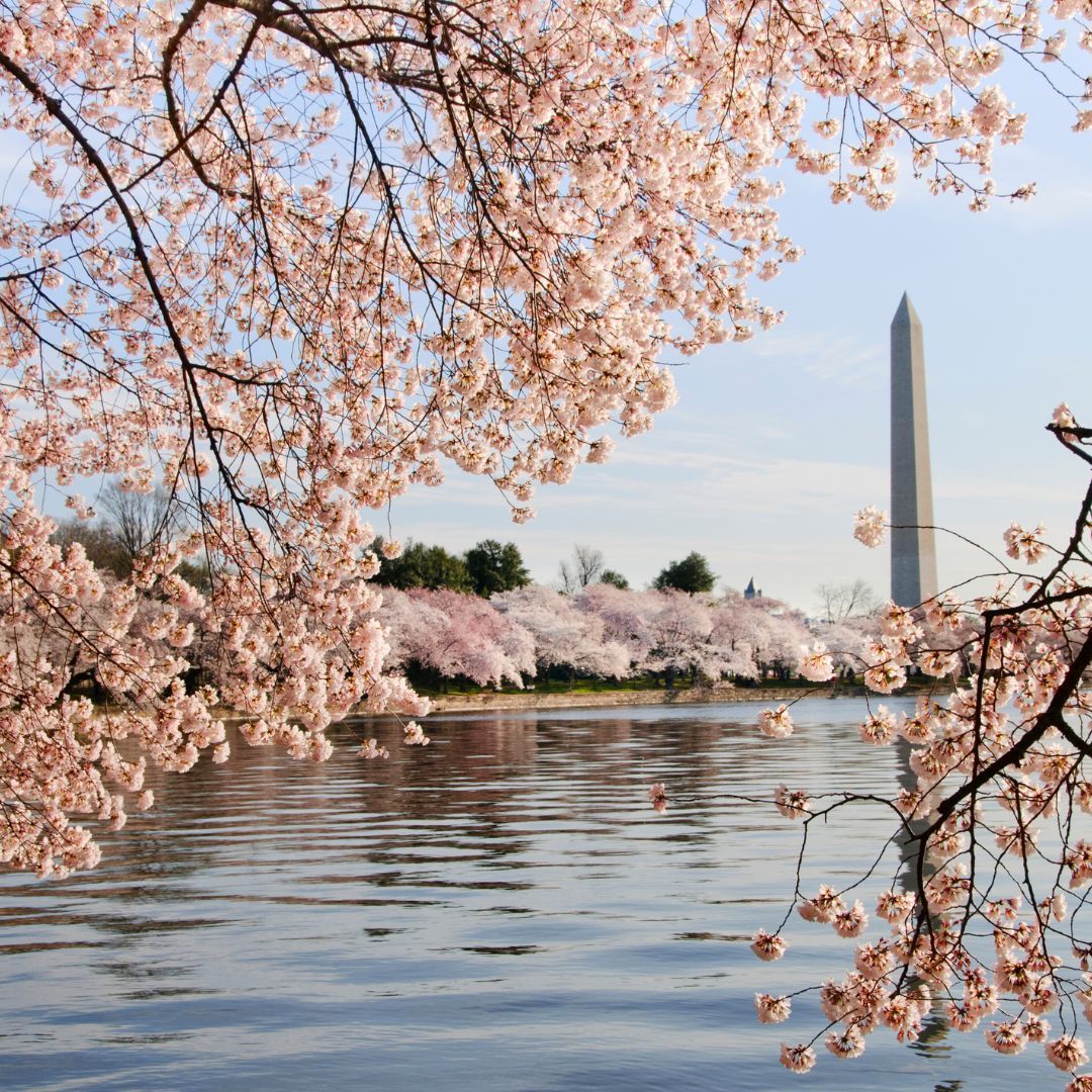 Seasonal RV Journeys: Top U.S. RV Destinations for Every Time of Year