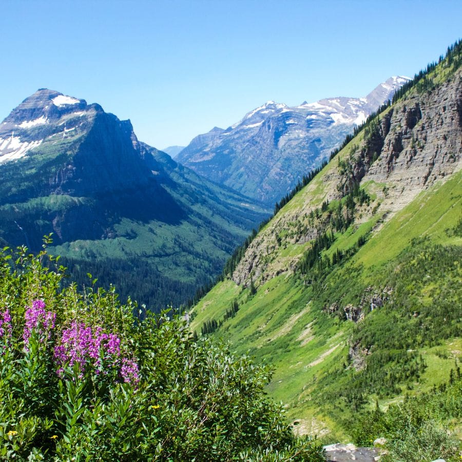 Travel Destination: Glacier National Park