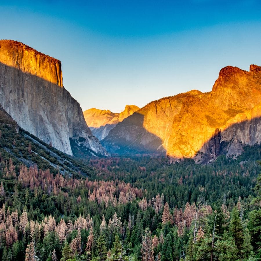 Unforgettable RV Adventures: Exploring the Best National Parks