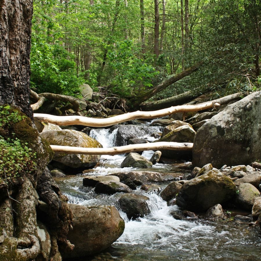 Travel Destination: Land Between the Lakes